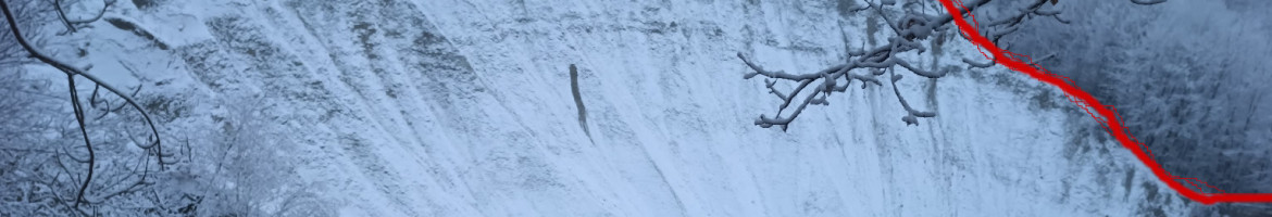Winter Run Vâlcea (Buridava) 2025